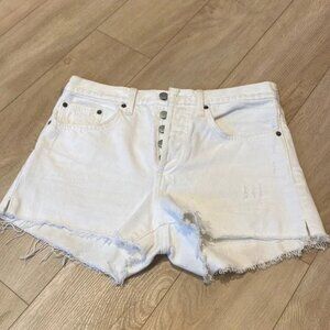 Denim forum yoko shorts size 26 aritzia
